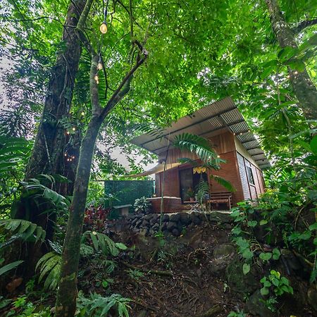 The Frog House Apartment La Fortuna Exterior photo
