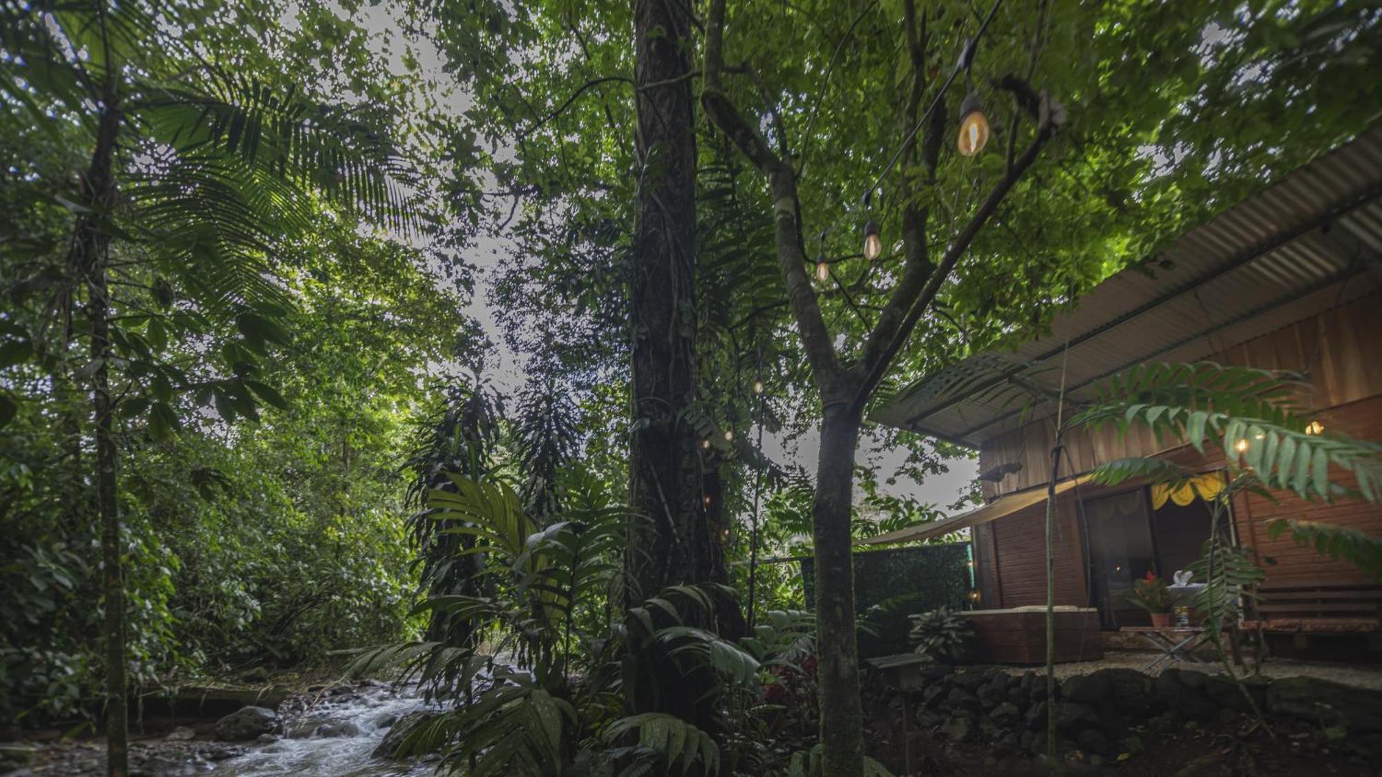 The Frog House Apartment La Fortuna Exterior photo