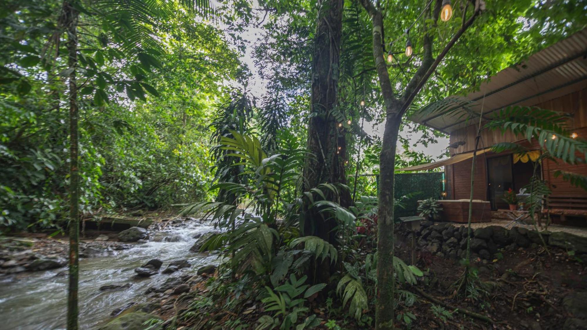 The Frog House Apartment La Fortuna Exterior photo