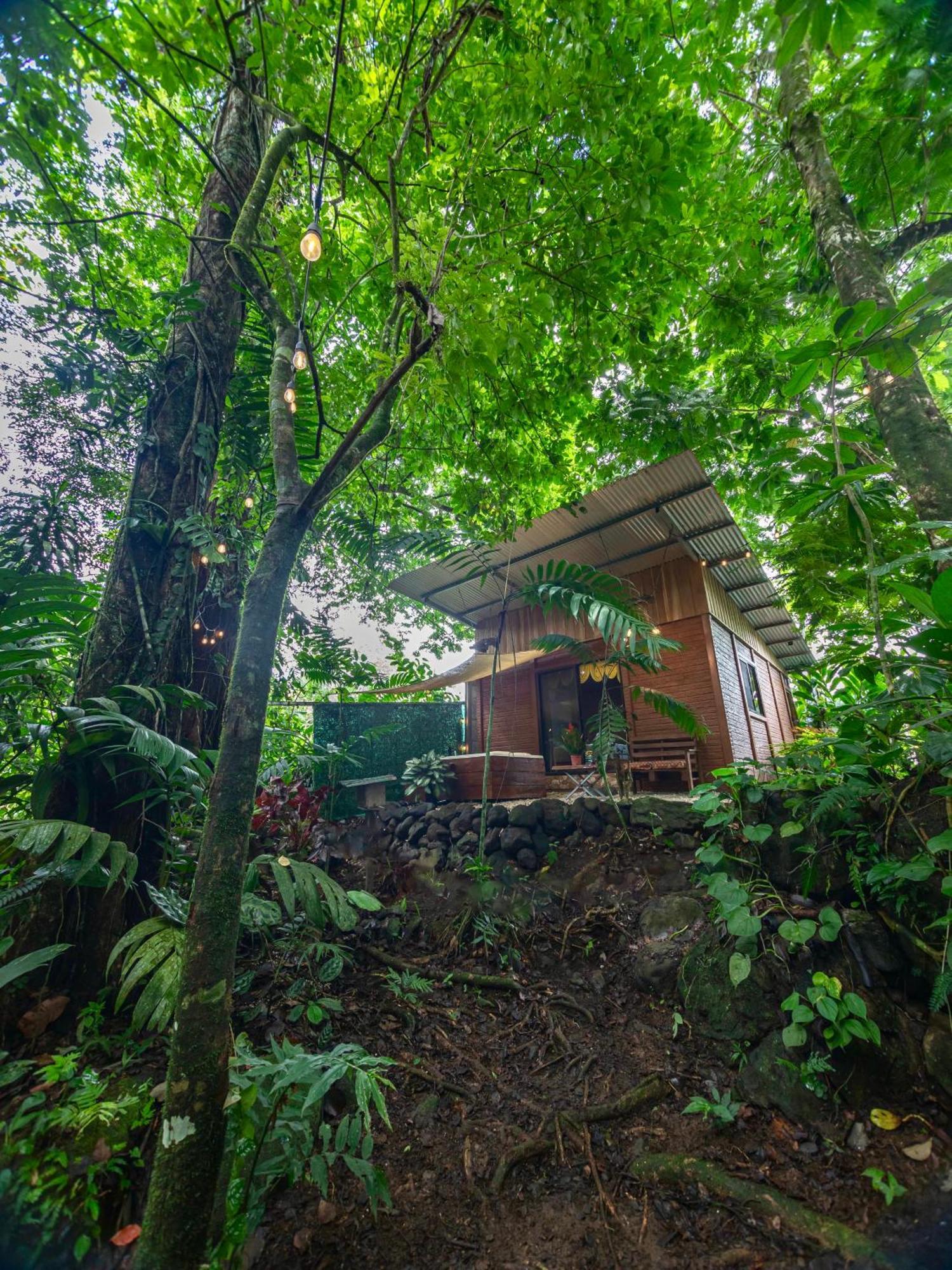 The Frog House Apartment La Fortuna Exterior photo